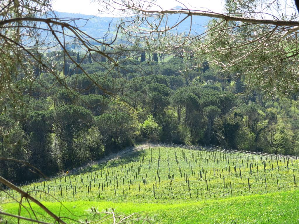 Agriturismo Il Palagetto Pomarance Exteriér fotografie