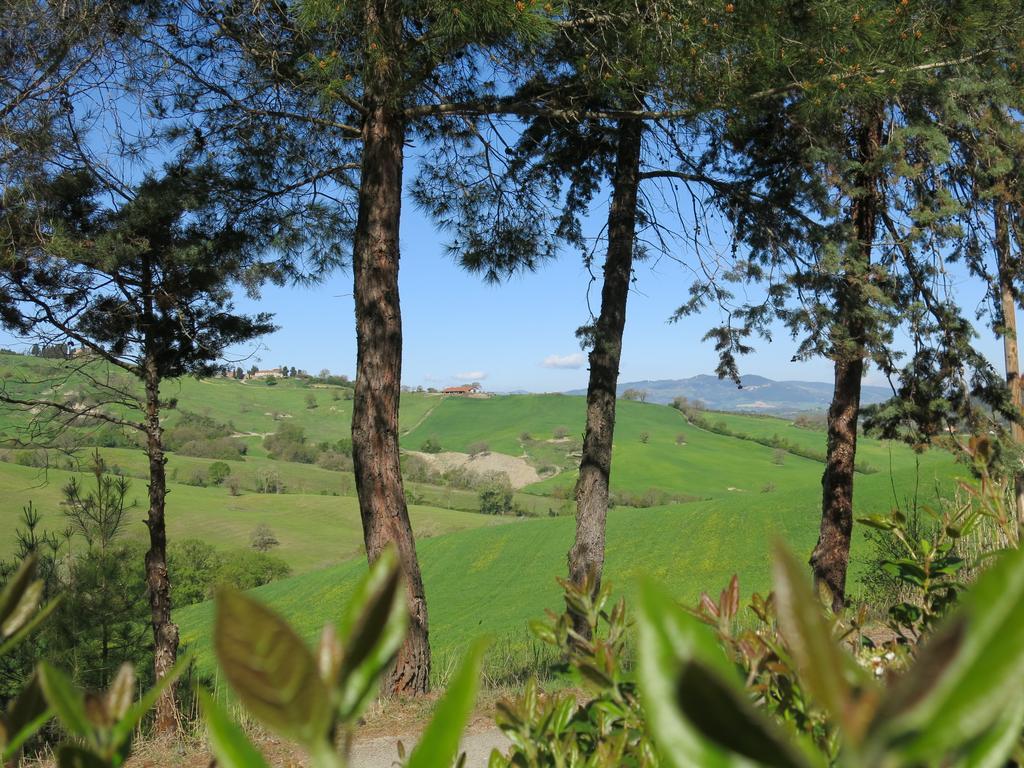 Agriturismo Il Palagetto Pomarance Exteriér fotografie