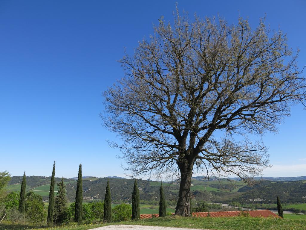 Agriturismo Il Palagetto Pomarance Exteriér fotografie